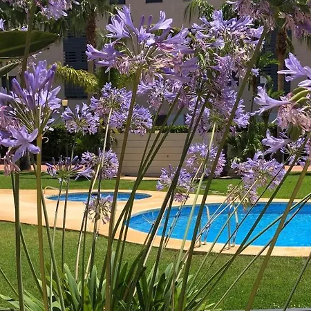 De Jardines Appartement Dénia