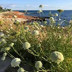De Jardines